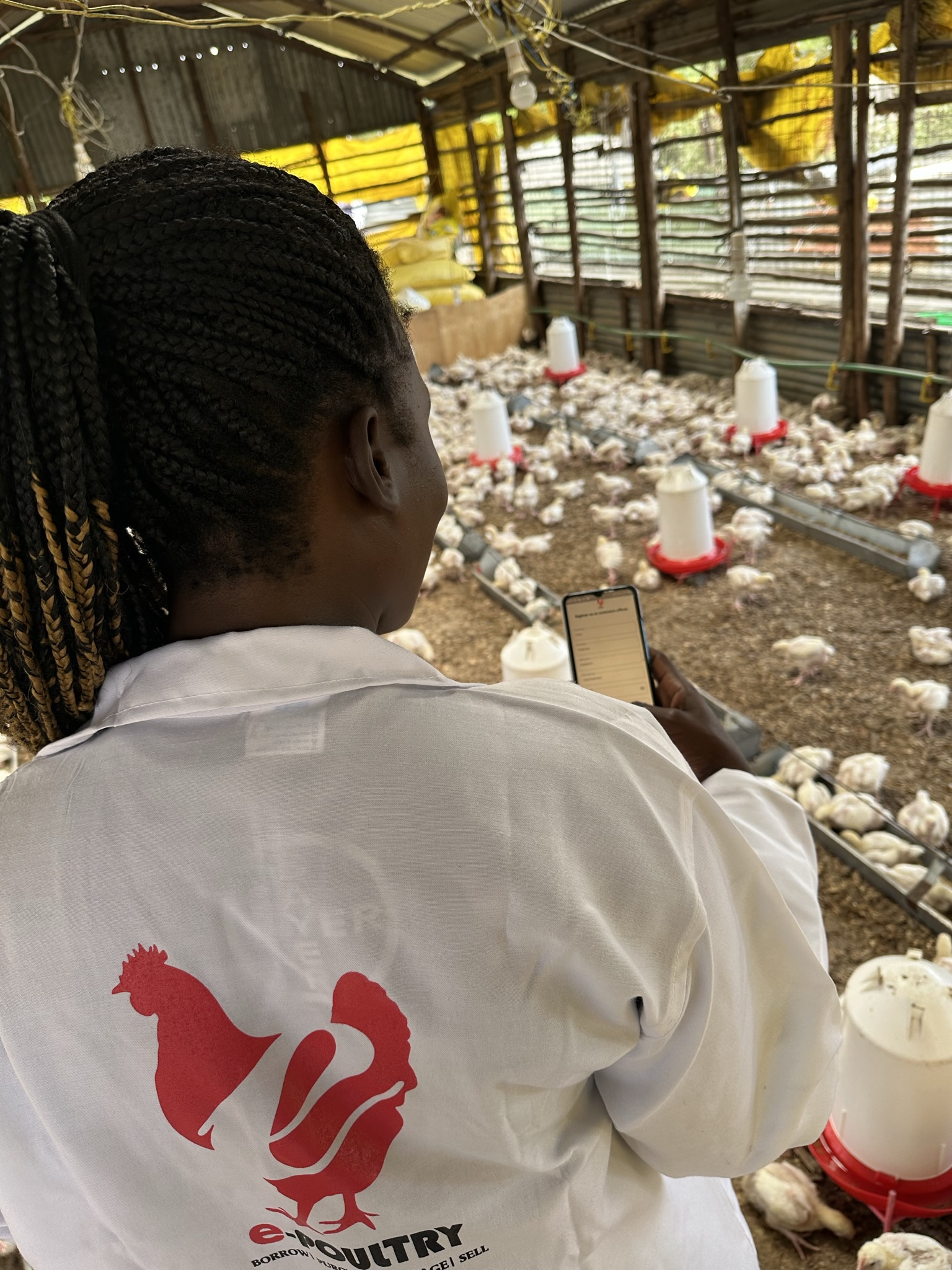 e-Poultry extension officer and farmer using the app together in a chicken house