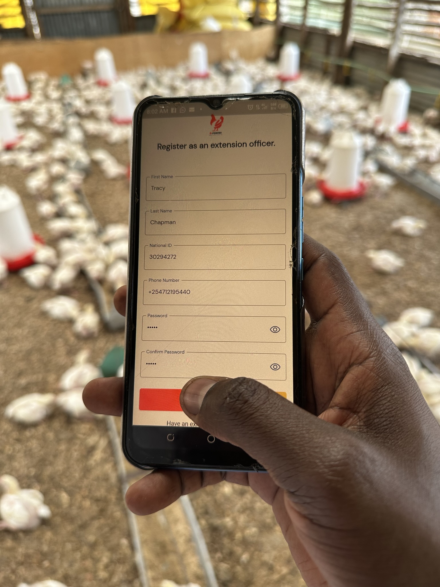 Farmer registering on the e-Poultry app inside a chicken house