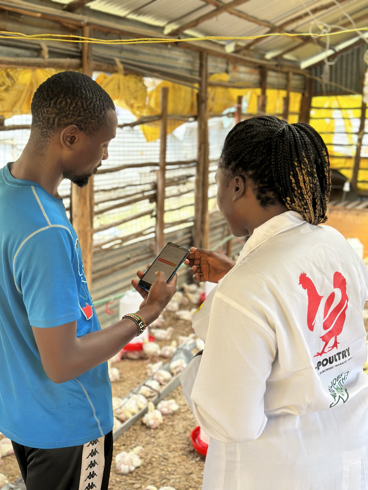 Farmer using the e-Poultry app