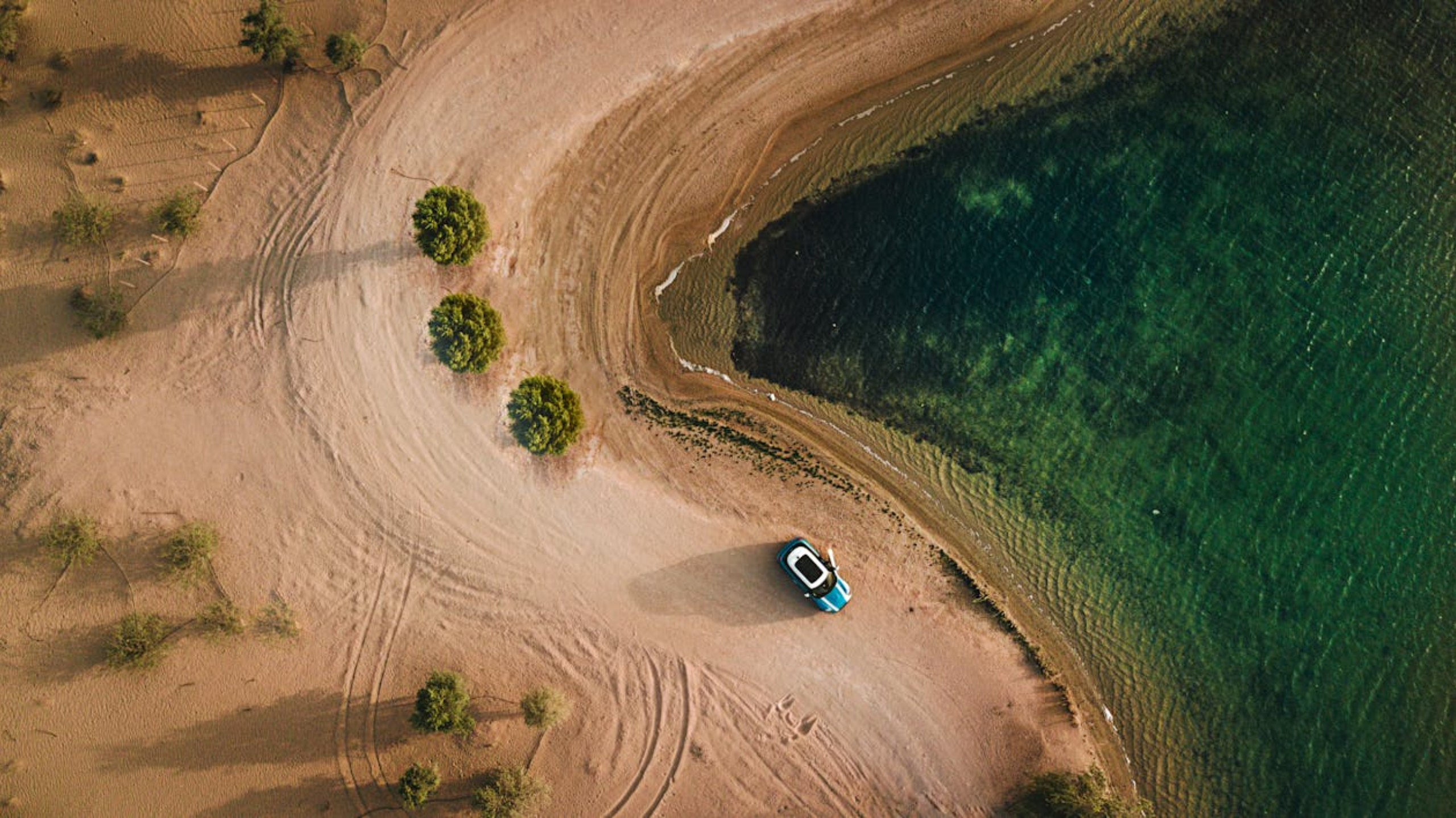 Cover Image for Mastering the Open Road: Essential Tips for Planning a Fantastic Road Trip