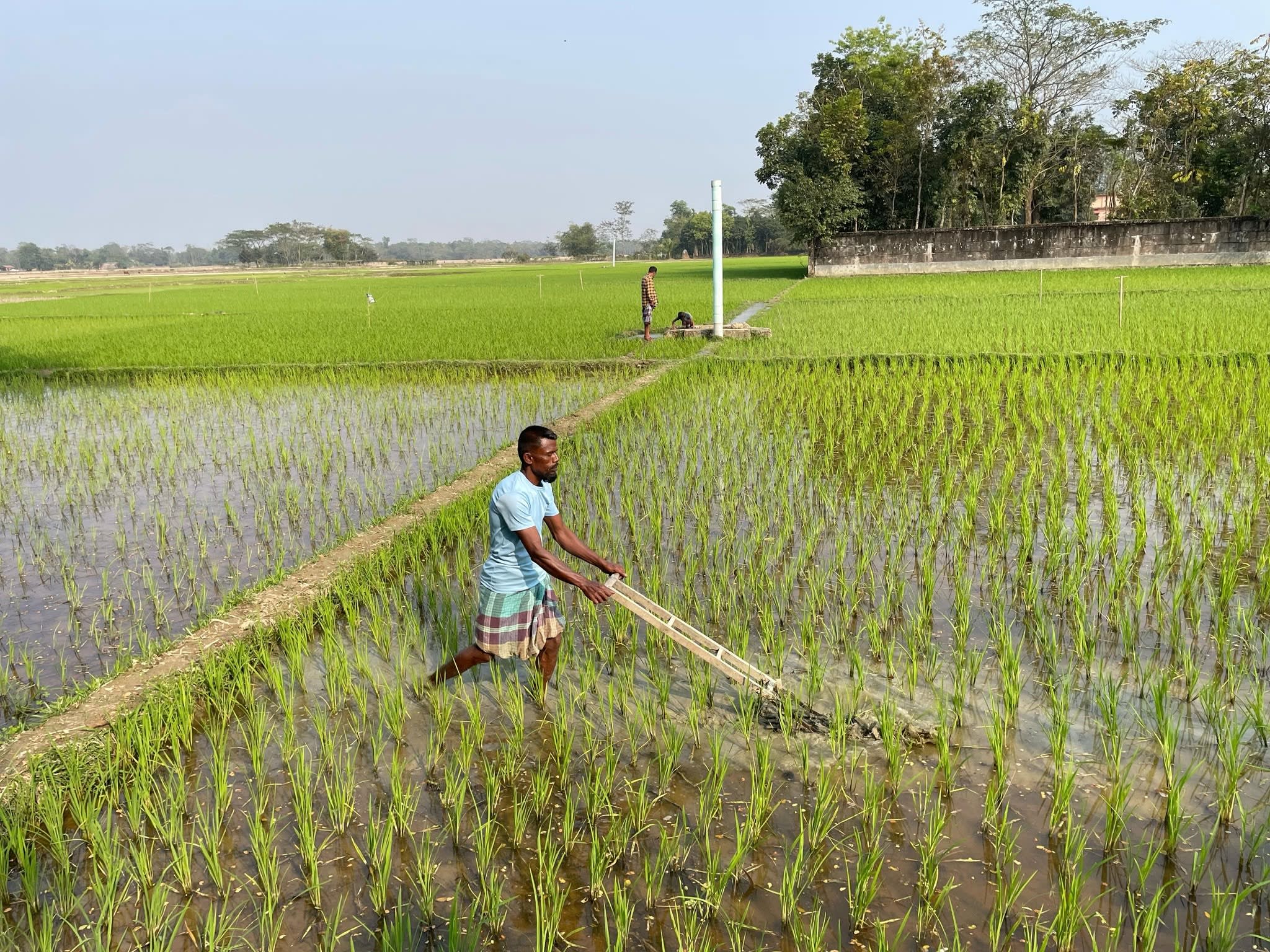 Irrigation Pump Project
