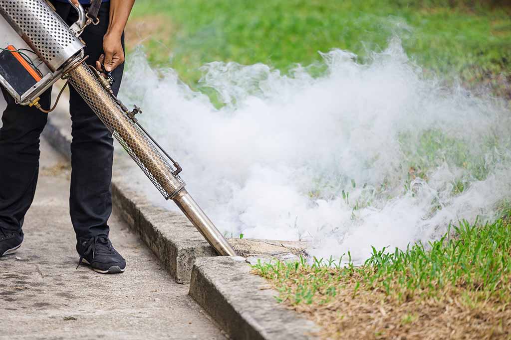 Mosquito Control