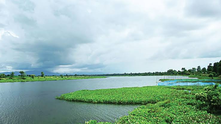 Waterbody Cleaning