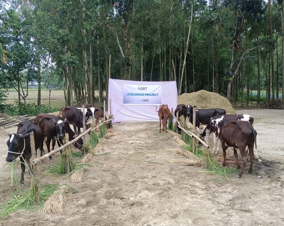 Livestock Animal Support for Livelihood