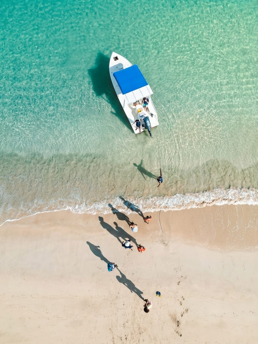 Safari Baleine – plage