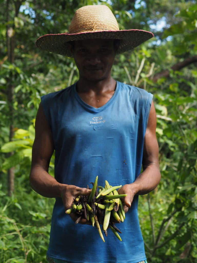 Association Akiba – cacao