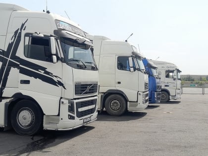 Обнаружение карантинных вредителей в Дагестане
