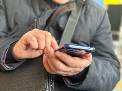 В Дагестане за 2024 год число самозанятых выросло до 300 тыс. человек
