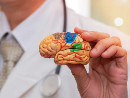 Как сохранить здоровье головного мозга