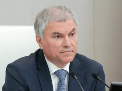 Володин поручил проработать наказание за продажу энергетиков детям