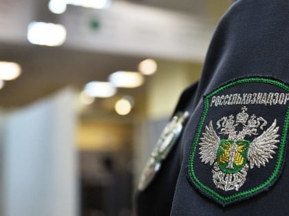 Управлением Россельхознадзора по Республике Дагестан проведено 7 профилактических визитов в области карантина растений