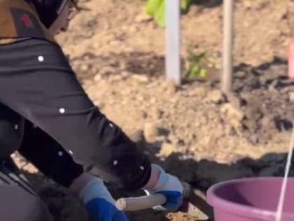 В Казбековском районе матери погибших участников СВО посадили цветы в «Саду памяти»