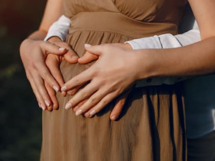 Что нужно знать, пока аист в пути