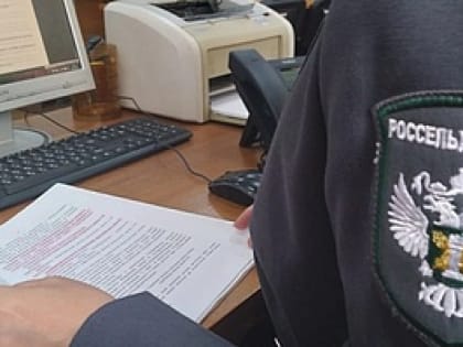 В Дагестане выявлено 11 нарушений по ввозу лесоматериалов, яблонь и риса