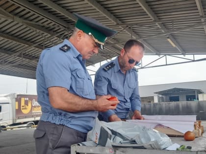 Дагестан: рост импорта подкарантинной сельхозпродукции