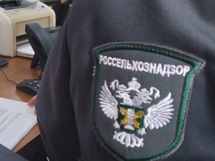 Искусственный интеллект помогает выявить нарушения в ветеринарии Дагестана