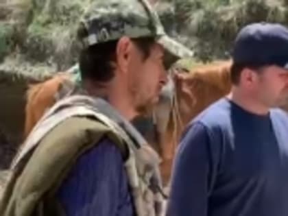 Работники сельского хозяйства Гумбетовского района во время перегона овец следили за оглашением Послания Главы РД