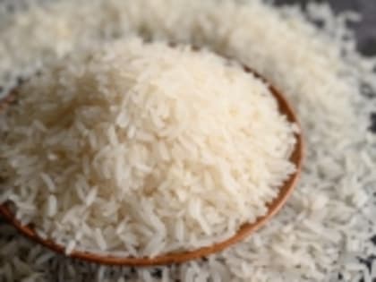 Посевные площади под рисом в Дагестане в 2024 году выросли до 33 тыс. га