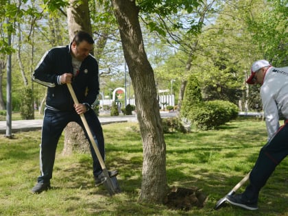 Депутаты и работники аппарата НС приняли участие в субботнике