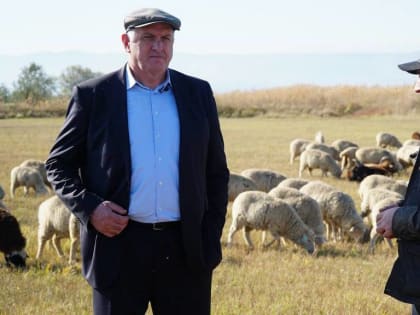 Дагестан поздравляет аграриев с профессиональным праздником