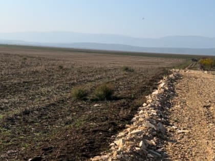 В Каякентском районе выявили около 70 га несуществующих виноградников