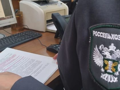 В Дагестане выявлено 11 нарушений по ввозу лесоматериалов, яблонь и риса