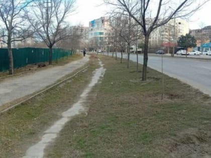 Мэрия Махачкалы назвала объект, лидирующий в голосовании за благоустройство
