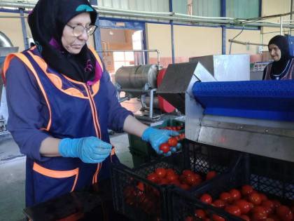 Развитие садоводства в горах Дагестана: новые горизонты и возможности