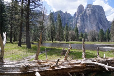 an image of something