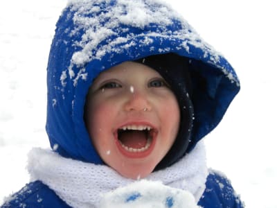 an image of something