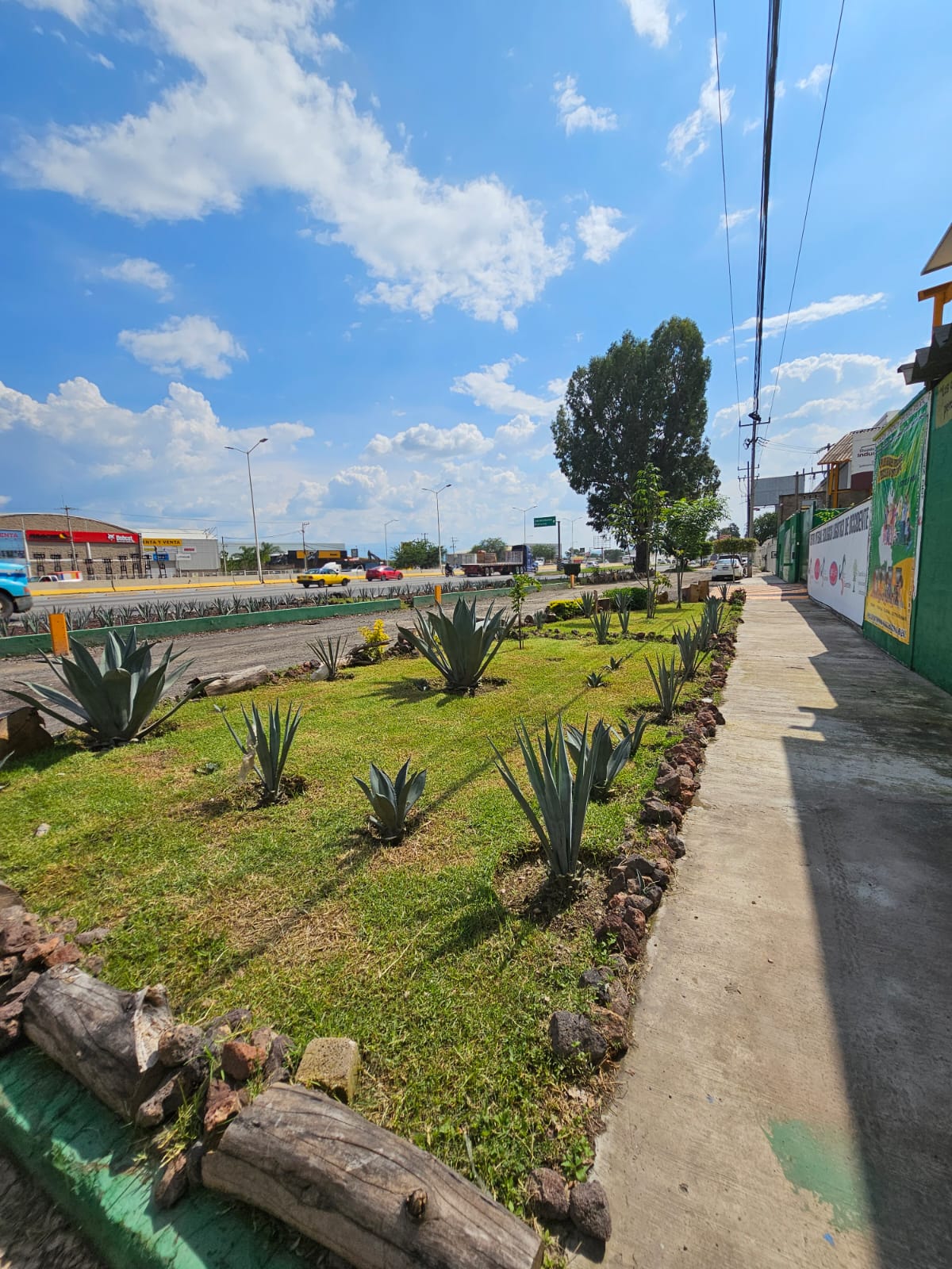 Caos Image