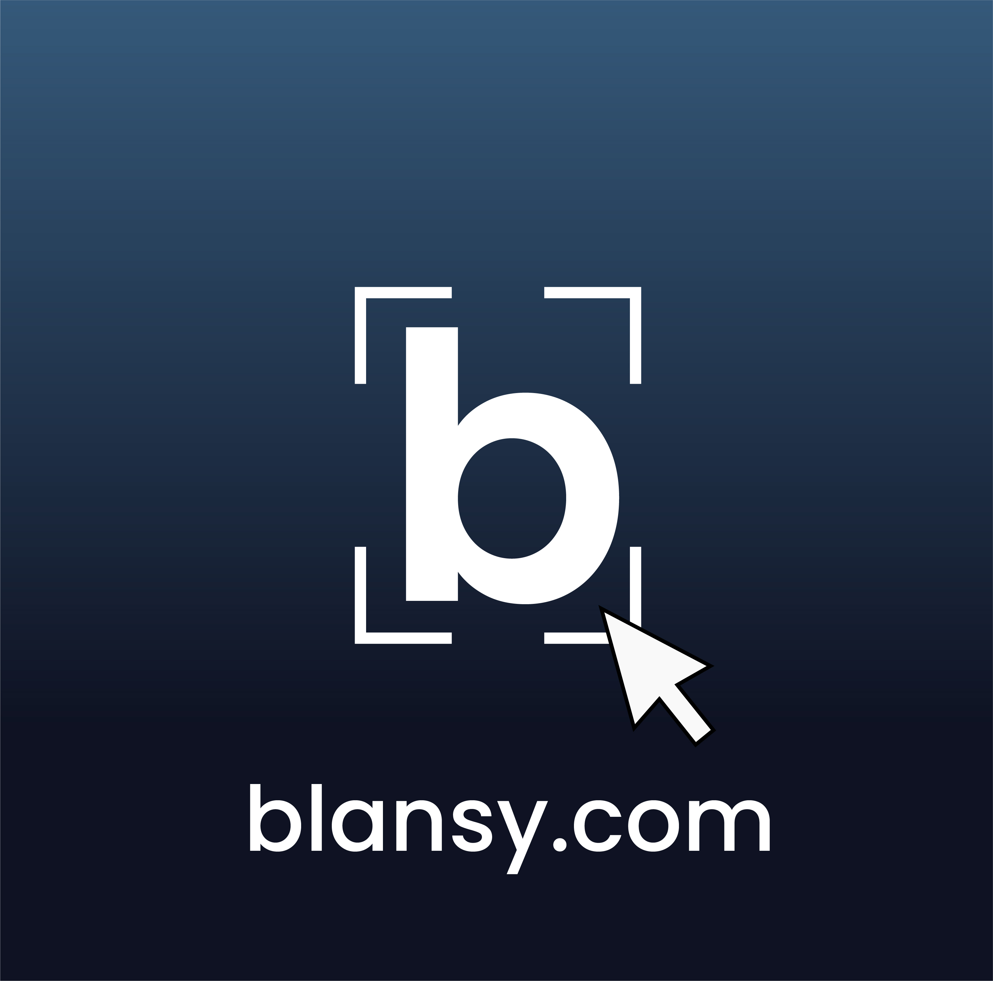blansy logo
