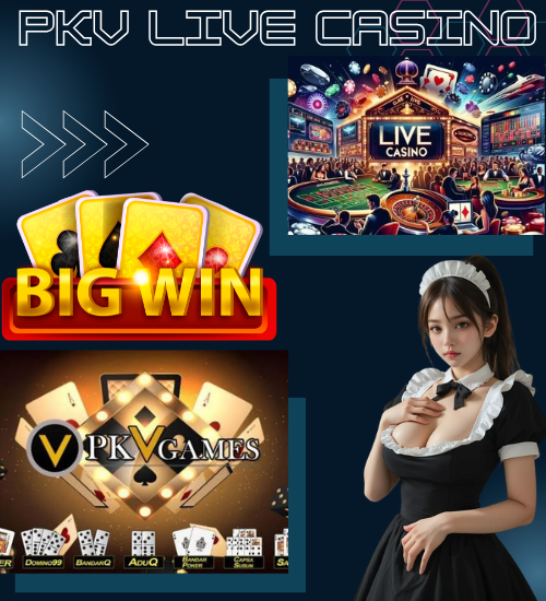 Pkv Live Casino