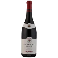  Moillard Le Duche Bourgogne Pinot Noir 
