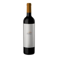 Alma Mora Shiraz