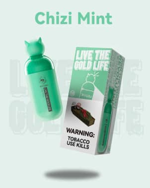 Woosh Chizi Mint