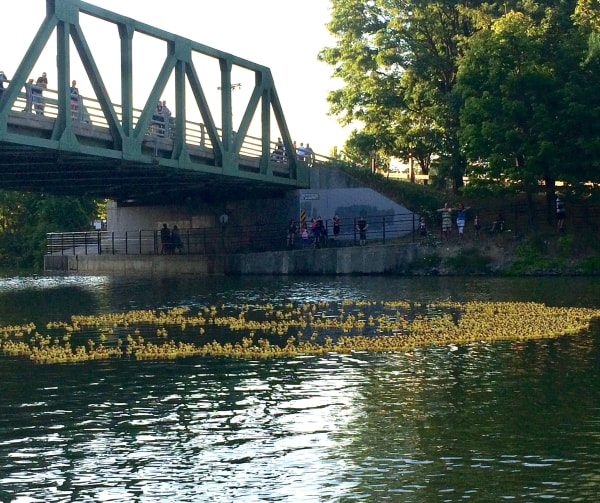 More Bridge Work in the Village of Pittsford — Summer 2022