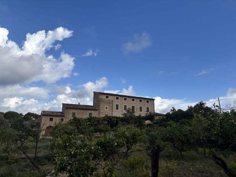 A finca above an orange grove — this is what Mallorca looked like before tourism discovered it.