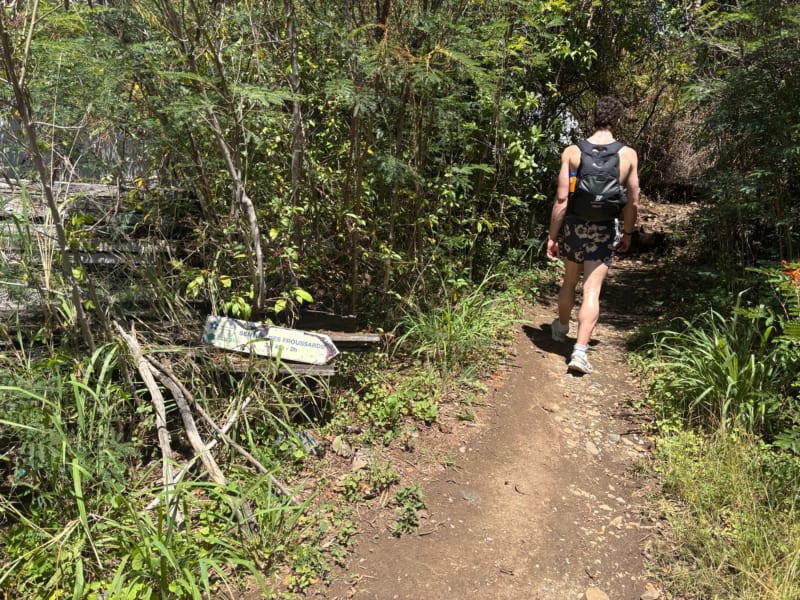 A trail runner jogs along a forest path marked with a directional sign, surrounded by lush green vegetation.