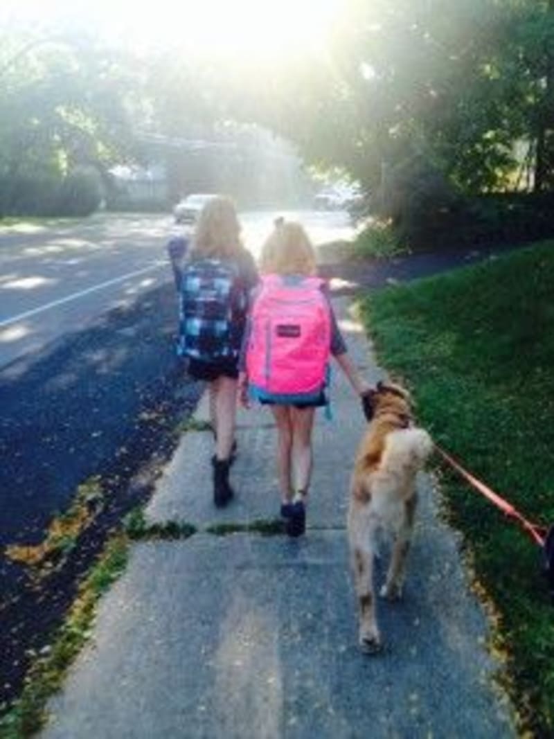 Jeff Road walkers