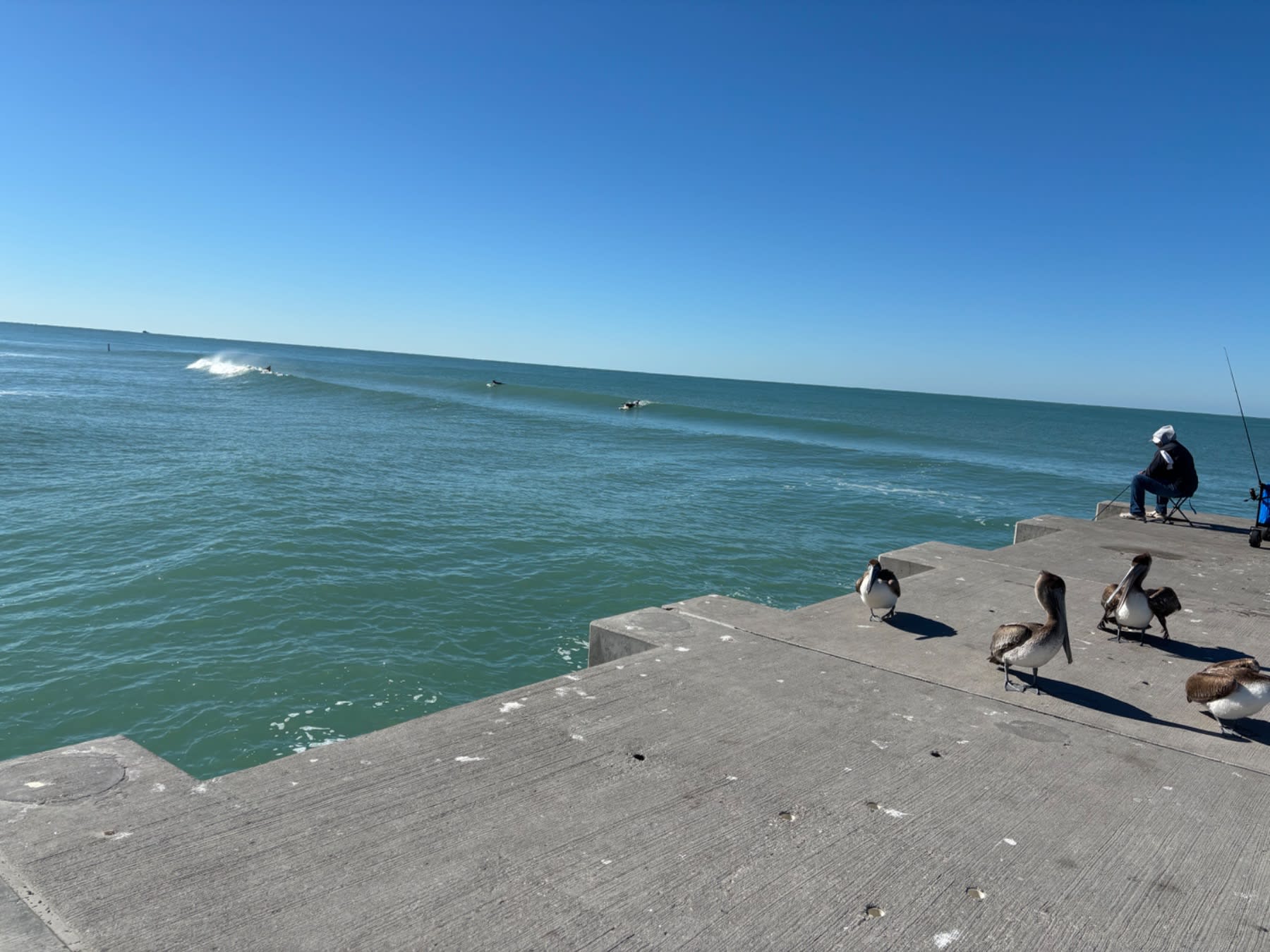 Pelicans rest on a pier while surfers catch waves under clear skies on a sunny coastal day.