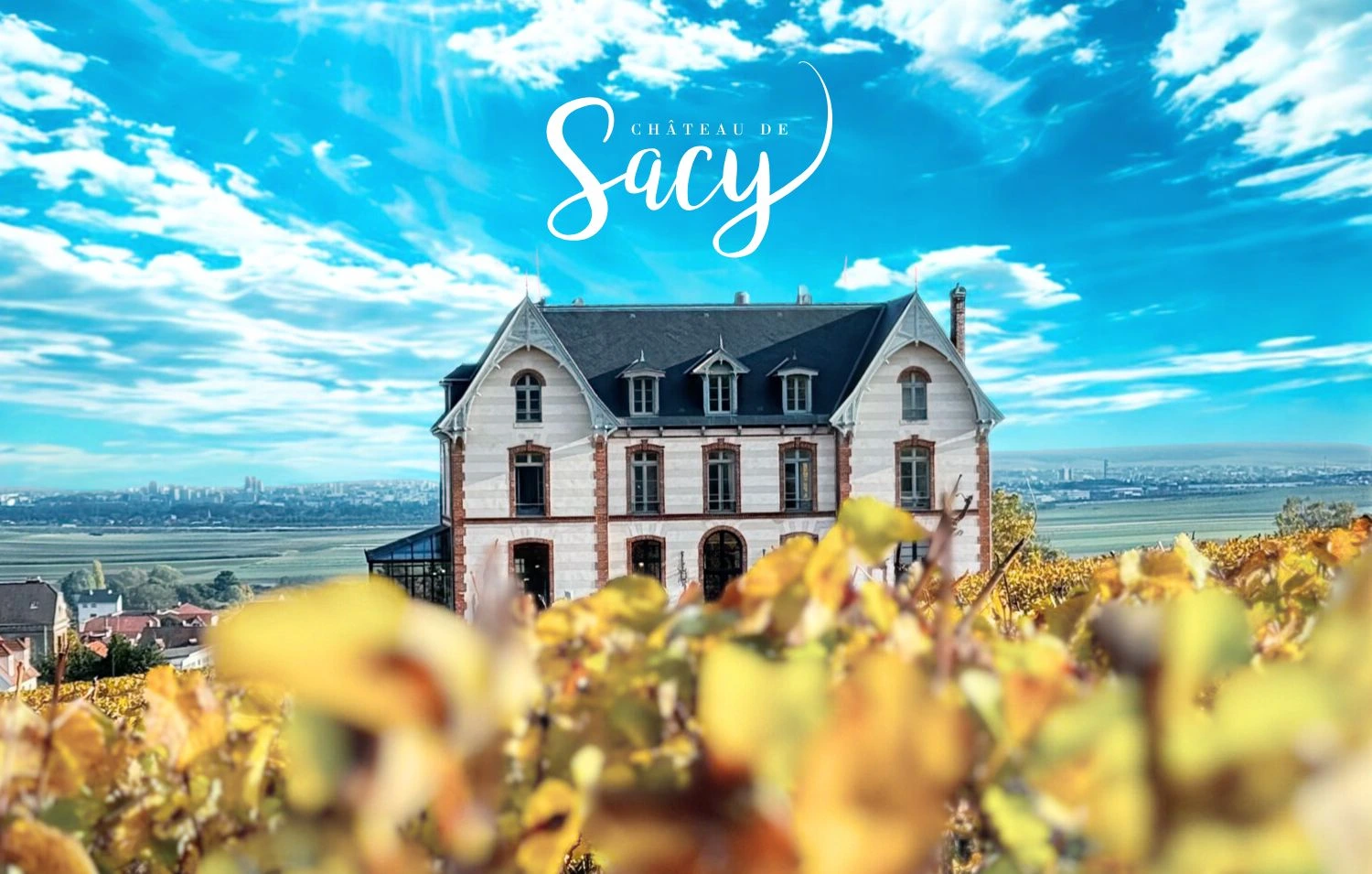 Chateau de Sacy