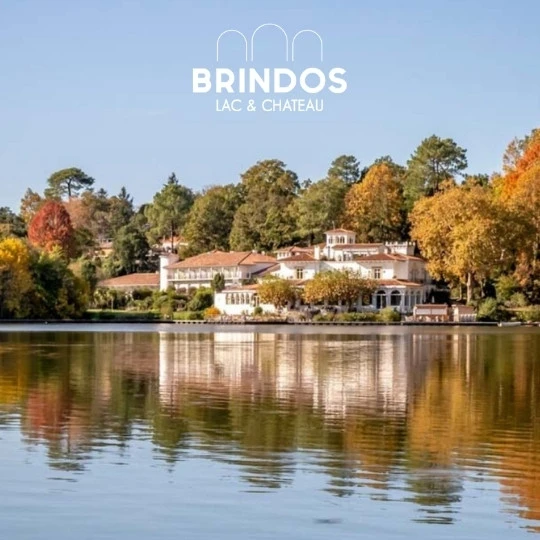 Chateau Brindos