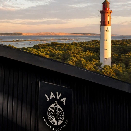 Java Cap Ferret