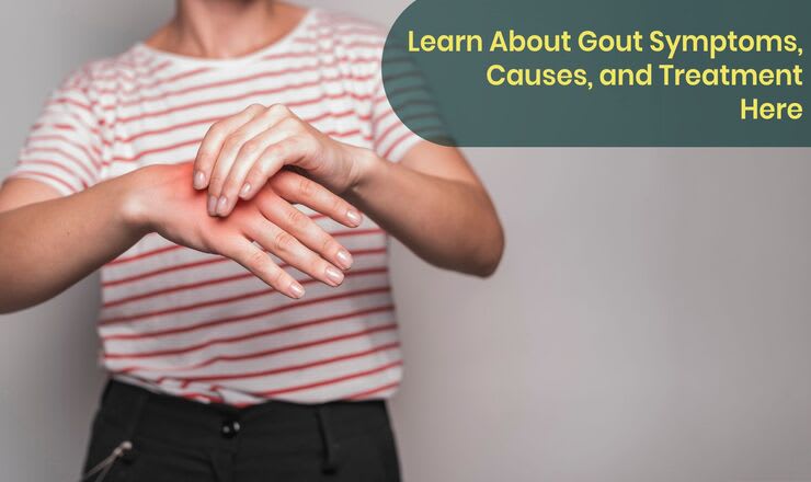 Gout Symptoms, Causes, and Treatment