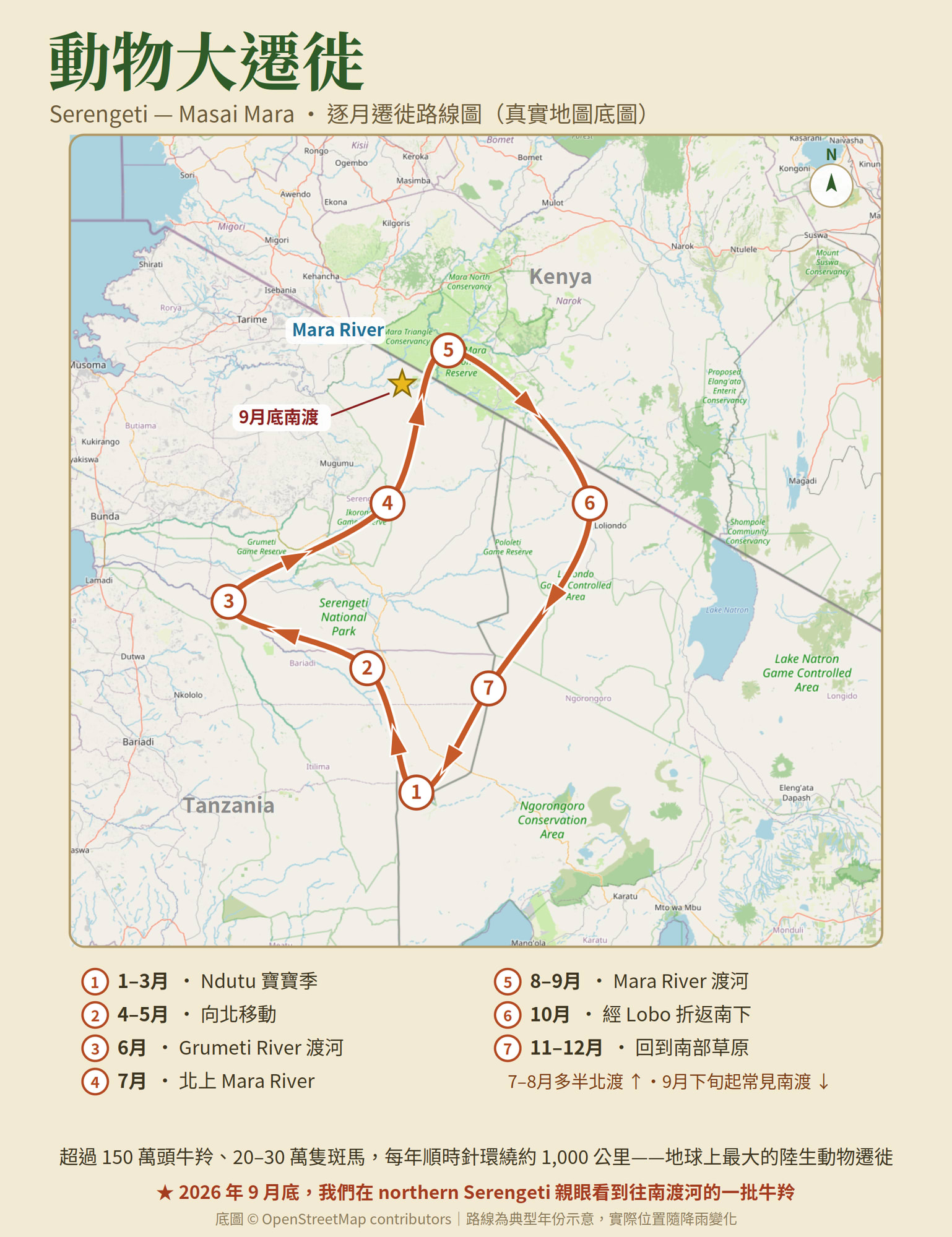 動物大遷徙逐月路線圖：牛羚群每年順時針繞行一圈。1–3 月在 Ndutu 產仔；4–5 月向北移動；6 月渡 Grumeti River；7 月北上 Mara River；8–9 月在 Mara River 渡河，7–8 月多半北渡、9 月下旬起常見南渡；10 月經 Lobo 折返南下；11–12 月回到南部草原
