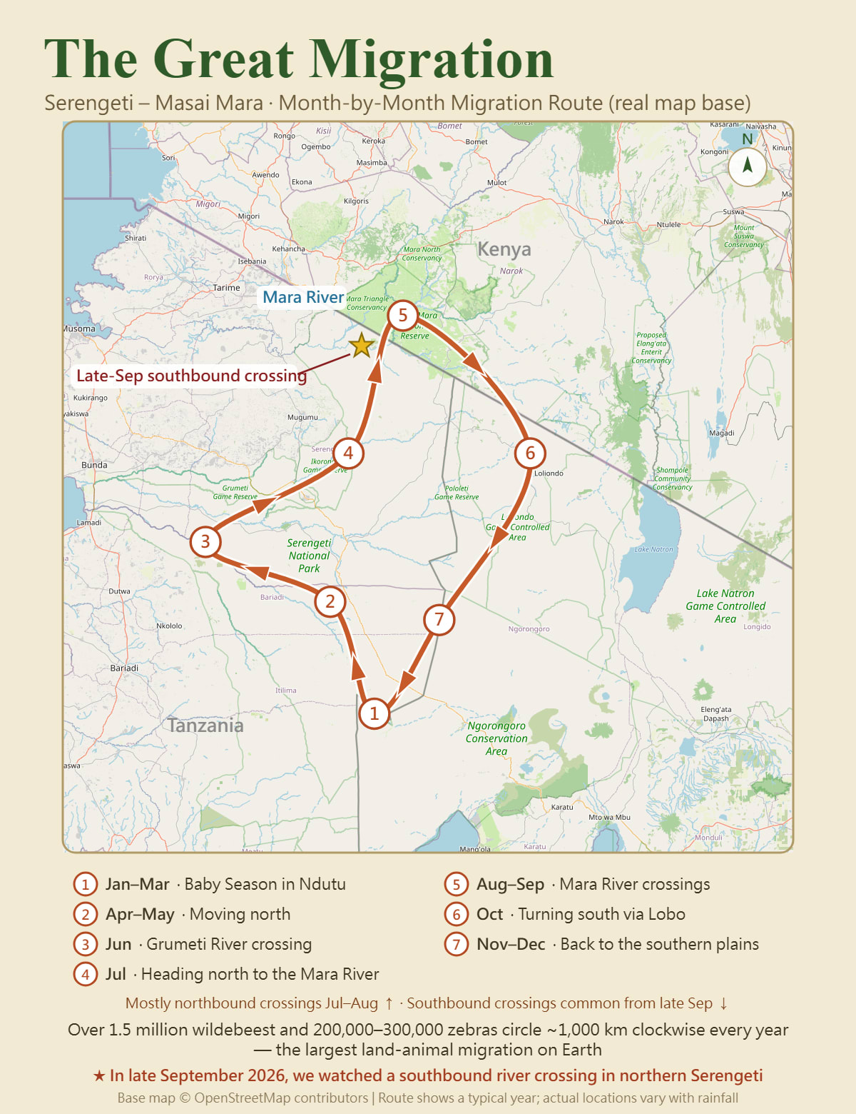 Month-by-month Great Migration route map: the wildebeest circle clockwise every year. Jan–Mar calving at Ndutu; Apr–May moving north; Jun crossing the Grumeti River; Jul heading north to the Mara River; Aug–Sep Mara River crossings, mostly northbound Jul–Aug and commonly southbound from late September; Oct turning south via Lobo; Nov–Dec back to the southern plains