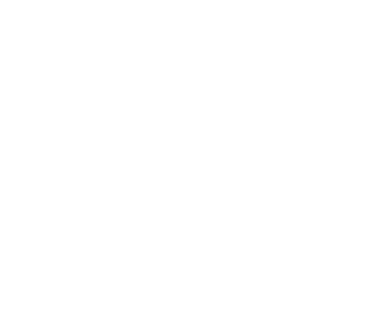 Pipeliner logo