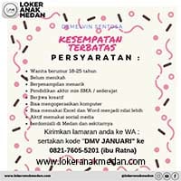 Lowongan Kerja Demelvin Sentosa