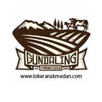 Lowongan Kerja PT Putra Indo Mandiri Sejahtera 2019